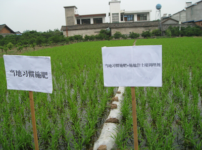 施地佳 突破傳統(tǒng)，以創(chuàng)新科技引領(lǐng)有機(jī)稻谷種植與土壤改良新篇章